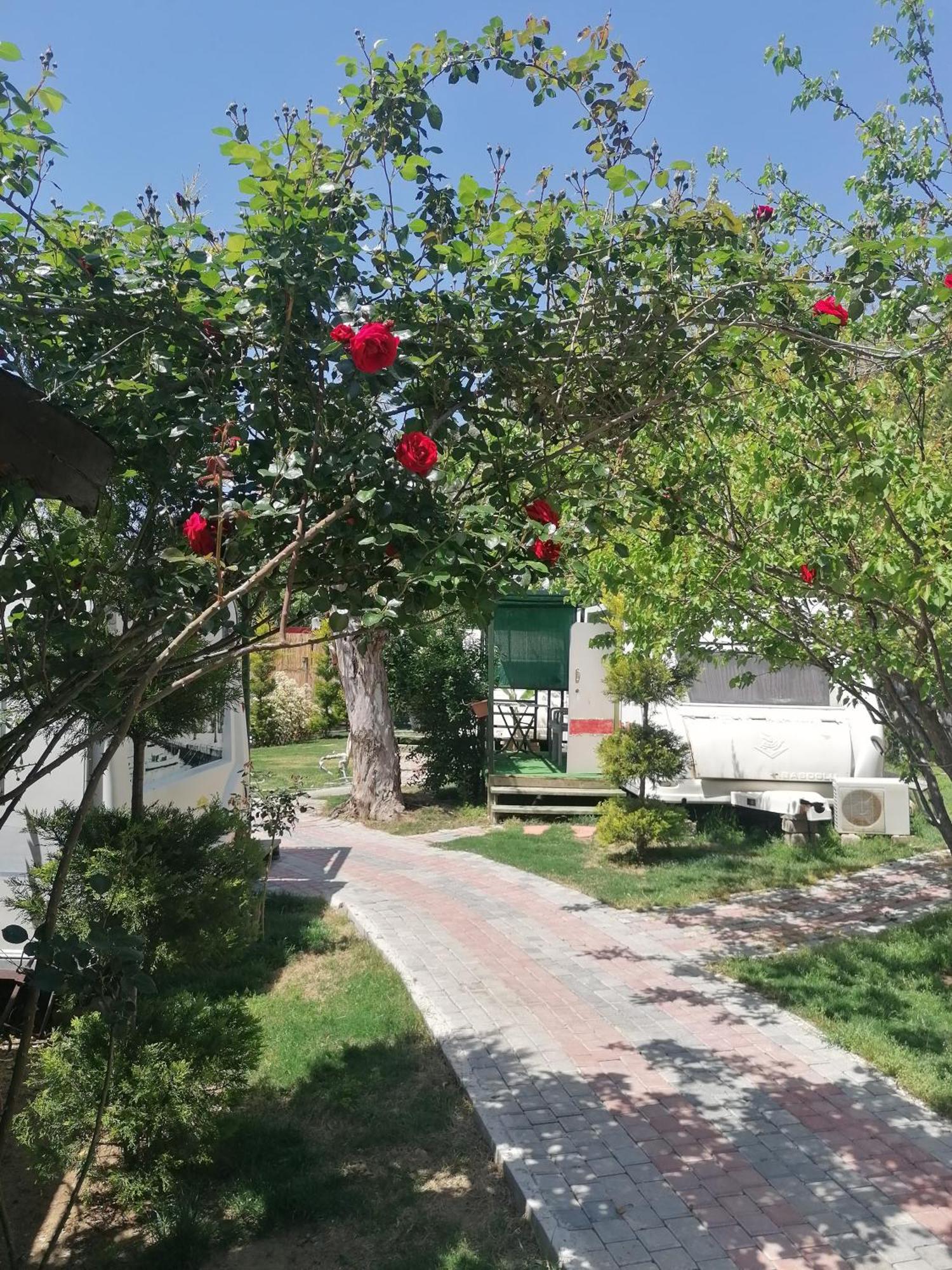 Oba Beach Hotel Ölüdeniz Eksteriør billede