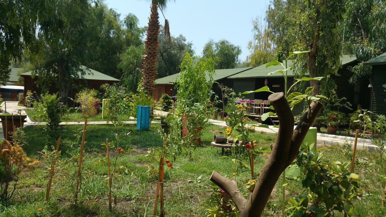 Oba Beach Hotel Ölüdeniz Eksteriør billede